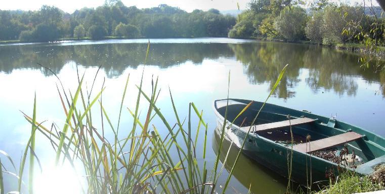 Gite De L'Etang - Parc Des Volcans D'Auvergne Loubeyrat Esterno foto